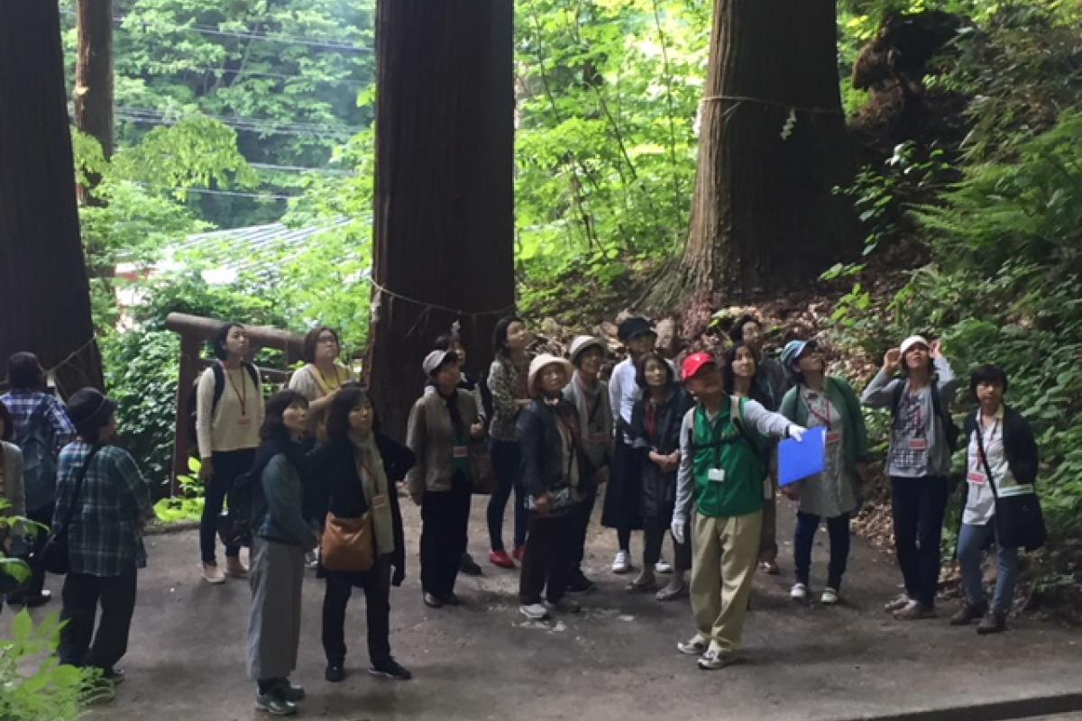 里山探見！にしめや（白神そばの昼食付）